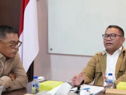 BP Batam dan Panbil Group Bahas Percepatan Investasi PSN Tanjung Sauh dan Ngenang