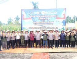 Groundbreaking Gudang Ketahanan Pangan Polri, Kelompok Tani Binaan Polsek Batam Kota Panen 1 Ton Jagung