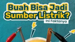 Buah Asam Bisa Jadi Sumber Listrik? Ini Fakta Menariknya
