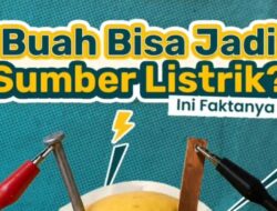 Buah Asam Bisa Jadi Sumber Listrik? Ini Fakta Menariknya