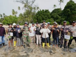 PT BSP Panbil Group Tanam 1.000 Bibit Mangrove di Pulau Ngenang, Perkuat Komitmen Hijau KEK Tanjung Sauh