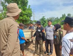 DUH!, Anjing Berkeliaran di Jalan Hang Nadim Batam, Pengendara Mengeluh hingga Ada yang Jatuh