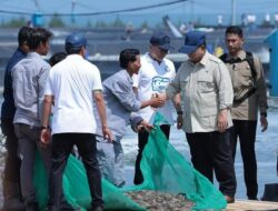 NEWS VIDEO: Presiden Prabowo Hadiri Panen Raya Udang di Kebumen, Produksi Capai Standar Dunia