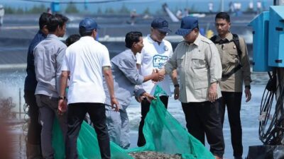 NEWS VIDEO: Presiden Prabowo Hadiri Panen Raya Udang di Kebumen, Produksi Capai Standar Dunia
