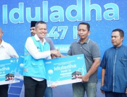 PLN Batam Salurkan 18 Sapi dan 50 Kambing pada Idul Adha 1447 H
