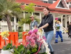 Li Claudia Sumbangkan Bunga Anggrek Hadiah Ulang Tahun untuk Mempercantik Kota Batam