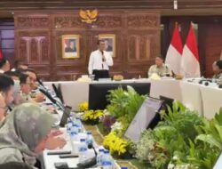 NEWS VIDEO: Harga CPO Dunia Naik, Harga Sawit Petani Turun, Mentan Amran Berang