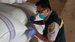 188,7 Ton Cengkih Natuna Meluncur ke Semarang, Pasok Industri Parfum hingga Rokok