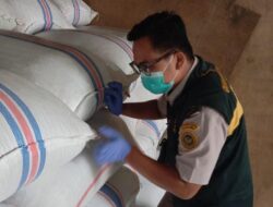 188,7 Ton Cengkih Natuna Meluncur ke Semarang, Pasok Industri Parfum hingga Rokok