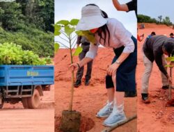 Satu Truk Bibit Pohon Dikerahkan, Li Claudia Lakukan Reboisasi Hijaukan Bekas Tambang Pasir Ilegal di Nongsa