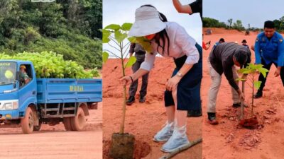Satu Truk Bibit Pohon Dikerahkan, Li Claudia Lakukan Reboisasi Hijaukan Bekas Tambang Pasir Ilegal di Nongsa
