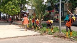 PLN Batam Percepat Pembangunan Gardu Baru untuk Atasi Gangguan Listrik di Senjulung dan Punggur