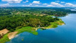 BP Batam Rehabilitasi 15 Hektare Hutan Lindung Duriangkang, Perkuat Kelestarian Sumber Air Baku Batam