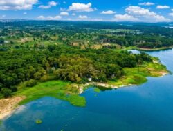 BP Batam Rehabilitasi 15 Hektare Hutan Lindung Duriangkang, Perkuat Kelestarian Sumber Air Baku Batam