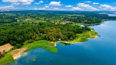 BP Batam Rehabilitasi 15 Hektare Hutan Lindung Duriangkang, Perkuat Kelestarian Sumber Air Baku Batam