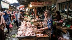 Pemerintah Tetapkan Harga Acuan Ayam dan Telur Mulai 15 Juli, Harga Ayam dan Telur Dijual Segini di Batam. Masih Mahal?