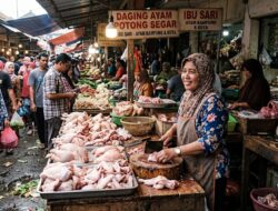 Pemerintah Tetapkan Harga Acuan Ayam dan Telur Mulai 15 Juli, Harga Ayam dan Telur Dijual Segini di Batam. Masih Mahal?