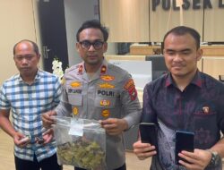 GEGER! Polisi Sita 74 Cartridge Vape Mengandung Narkoba, 2 Pria Diciduk di Hotel Nagoya Inn Batam