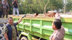 Polda Kepri Bongkar Pengolahan dan Pengangkutan Pasir Ilegal di Batam, Tiga Tersangka Diamankan
