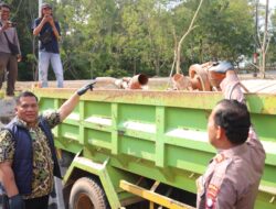 Polda Kepri Bongkar Pengolahan dan Pengangkutan Pasir Ilegal di Batam, Tiga Tersangka Diamankan
