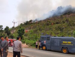 Polda Kepri Padamkan Karhutla 35 Hektare di Trans Barelang, Penyebab Masih Diselidiki
