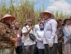 Kepala Staf Kepresidenan Jenderal Dudung Abdurachman Tinjau Panen Tebu Register 44 Way Kanan, Pastikan Kehadiran Negara bagi Petani