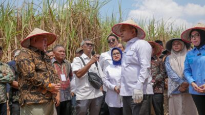 Kepala Staf Kepresidenan Jenderal Dudung Abdurachman Tinjau Panen Tebu Register 44 Way Kanan, Pastikan Kehadiran Negara bagi Petani