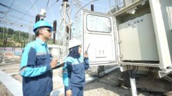 TERUNGKAP! Hewan Liar Diduga Jadi Biang Kerok Listrik Batam Padam Massal