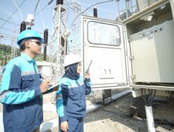 TERUNGKAP! Hewan Liar Diduga Jadi Biang Kerok Listrik Batam Padam Massal
