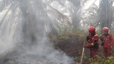 Singapura Surati 7 Perusahaan di Indonesia Terkait Karhutla, Tiga Terafiliasi Grup Sinar Mas