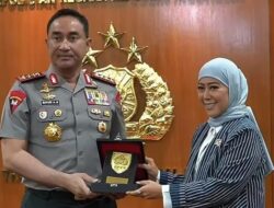 HEBOH! Mantan Anggota Dewan Singapura Provokasi Potong Kabel Internet Indonesia, Menkomdigi Meutya Hafid Buka Suara